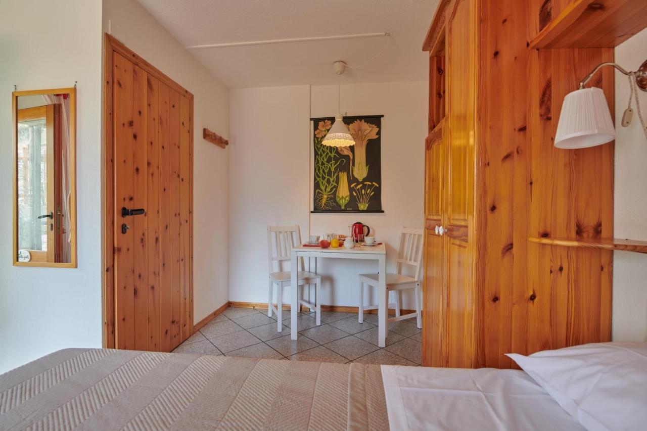 Standard Double or Twin Room Garden View